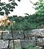 Naturstein Trockenmauer