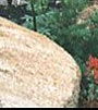 Naturstein Trockenmauer